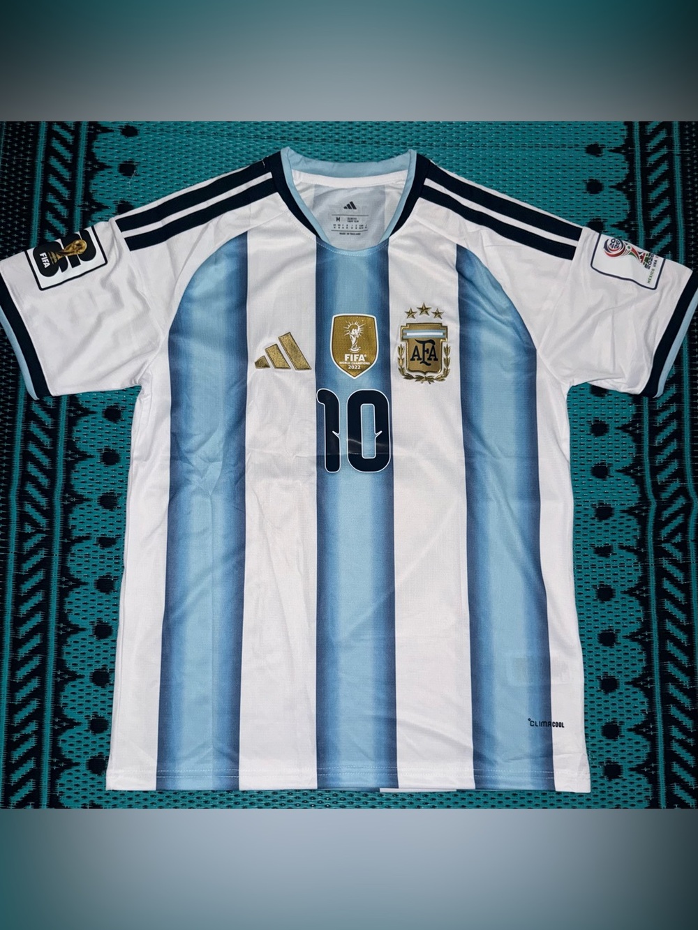 Lionel Messi 10 | Argentina 2026 World Cup Home Jersey/Kit Fan Version (Small)